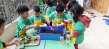 Bé ươm mầm mùa Xuân