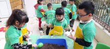 Bé ươm mầm mùa Xuân